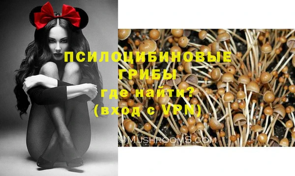 меф Арсеньев