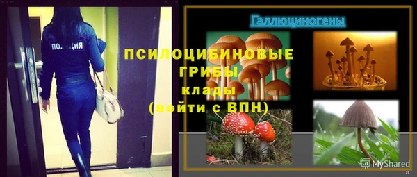 меф Арсеньев